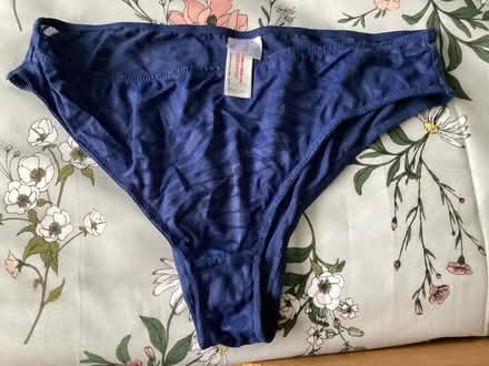 Photo of free Knickers.Bra.Beige knickers (Fords Farm RG30) #1