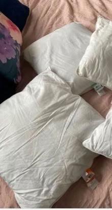 Photo of free 2 x cushion pads (Bowerham LA1) #3