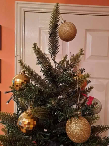 Photo of free Artificial Christmas Tree, 180 cm (Isleworth TW7) #2