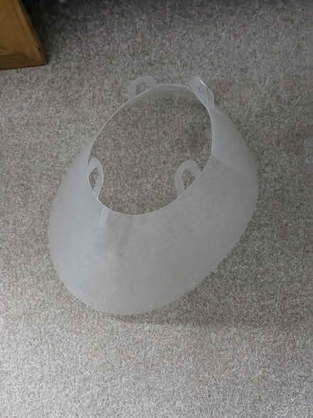 Photo of free Plastic dog cone (M32 stretford) #3