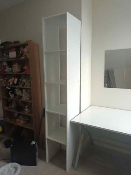 Photo of free Tall narrow bookcase (Rusthall TN4) #1