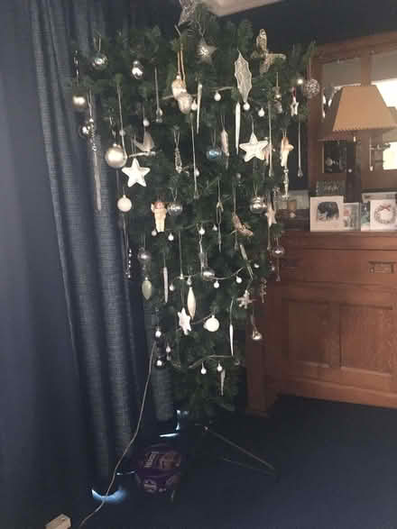 Photo of free Christmas Tree - Artificial, 6 feet tall (Spacey Houses HG3) #1