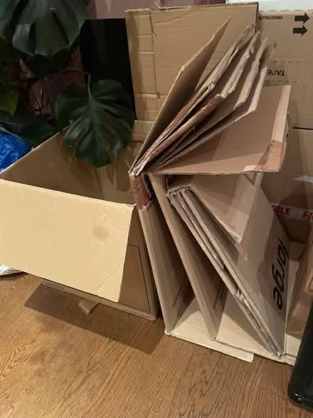Photo of free Moving boxes (East Dulwich SE22) #1