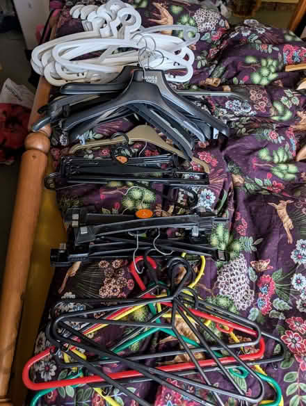 Photo of free Assorted plastic coat hangers (Wollaton Park NG8) #1