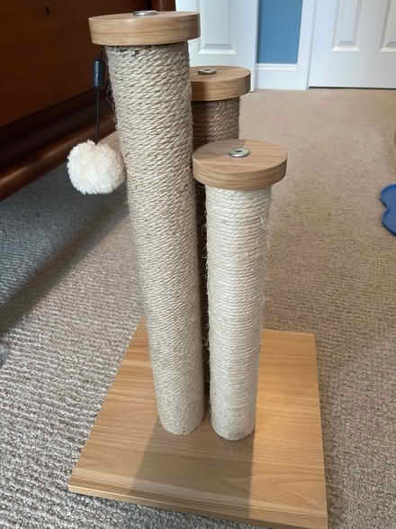 Photo of free Cat scratching post (H Street NE) #1