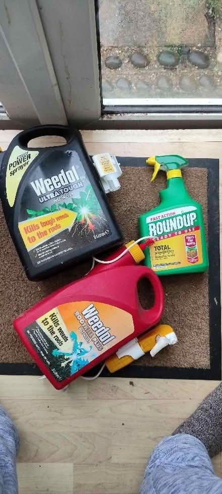 Photo of free weed killer (West Wickham BR4) #1
