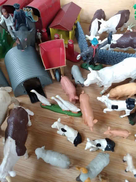 Photo of free Toy animals (Kingston Seymour BS21) #1