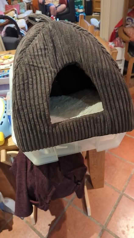 Photo of free Cat bed (Old Town SG1) #1