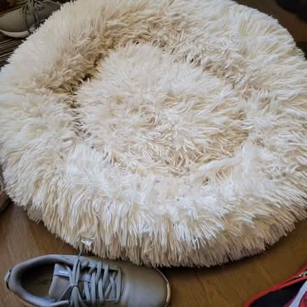 Photo of free Fluffy dog bed (Herne Hill SE24) #1