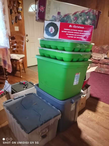 Photo of free Christmas Decorations (West Kingsport) #1