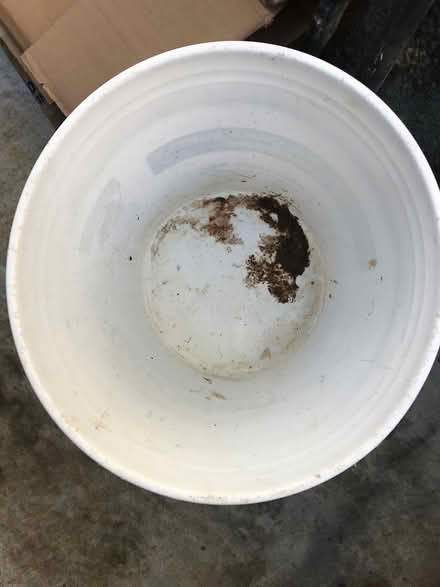 Photo of free Large bucket (San Anselmo near Andronico’s) #2