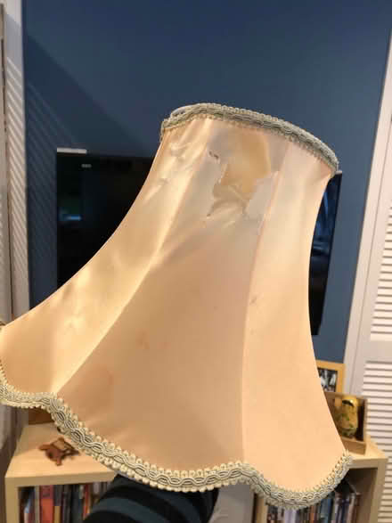 Photo of free Vintage lampshades (Knutsford) #1