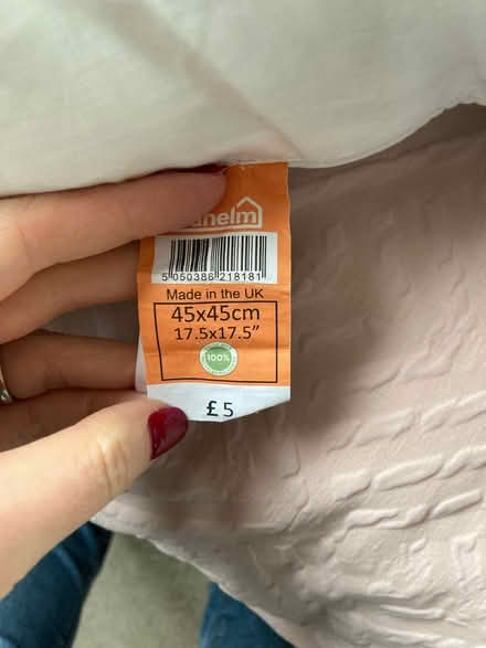 Photo of free 2 x cushion pads (Bowerham LA1) #1