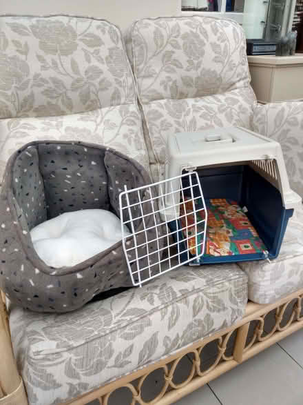 Photo of free Cat carrier and bed (Kingston Seymour BS21) #1
