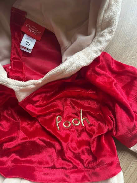 Photo of free Winnie the Pooh dress up (age 5-6) (Florence Park OX4) #3