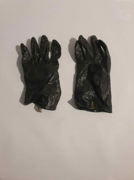 Photo of free Leather gloves (Chalford Hill) #1