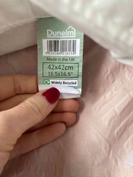 Photo of free 2 x cushion pads (Bowerham LA1) #2