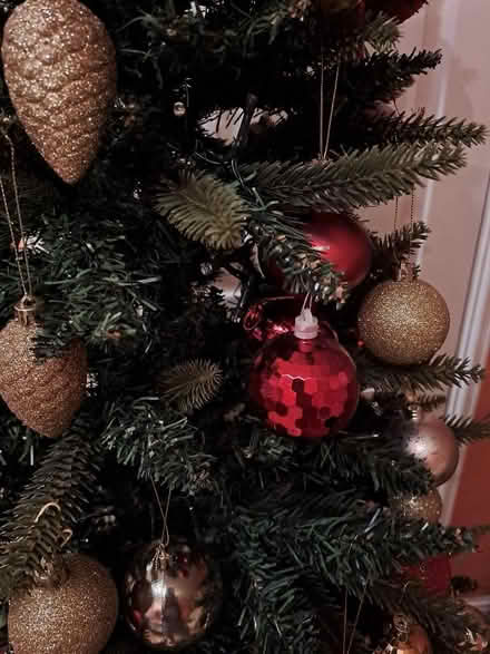 Photo of free Artificial Christmas Tree, 180 cm (Isleworth TW7) #3