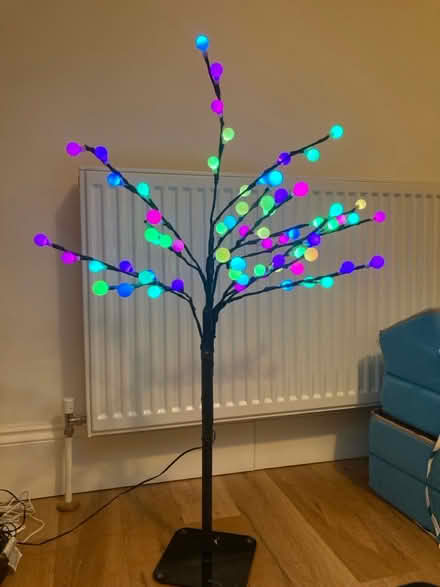 Photo of free Decorative light tree (Chelmsford, CM2) #1