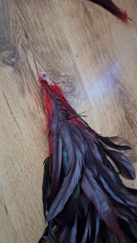 Photo of free Feather xmas tree usable but damage (Westcliff-on-Sea SS0) #3