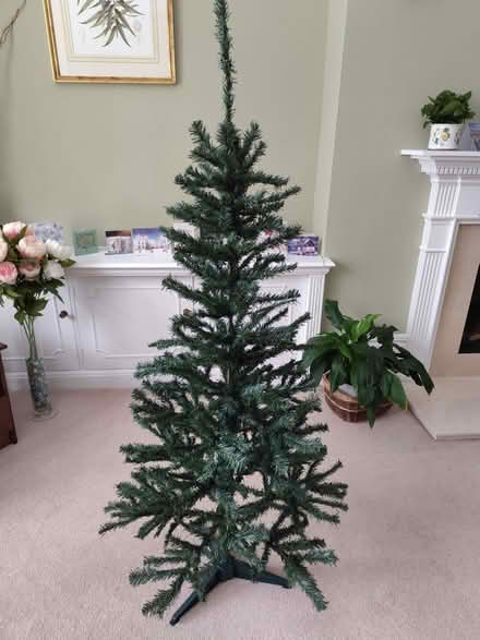 Photo of free Christmas tree (Harrogate HG2) #2