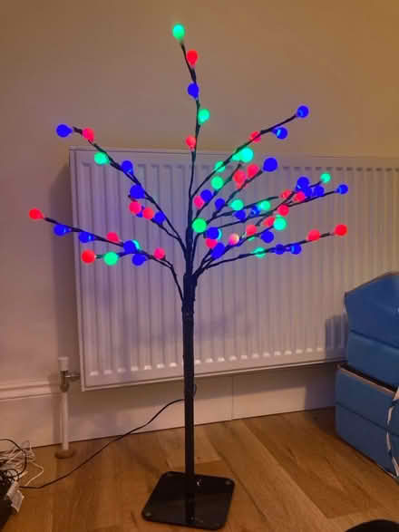 Photo of free Decorative light tree (Chelmsford, CM2) #2