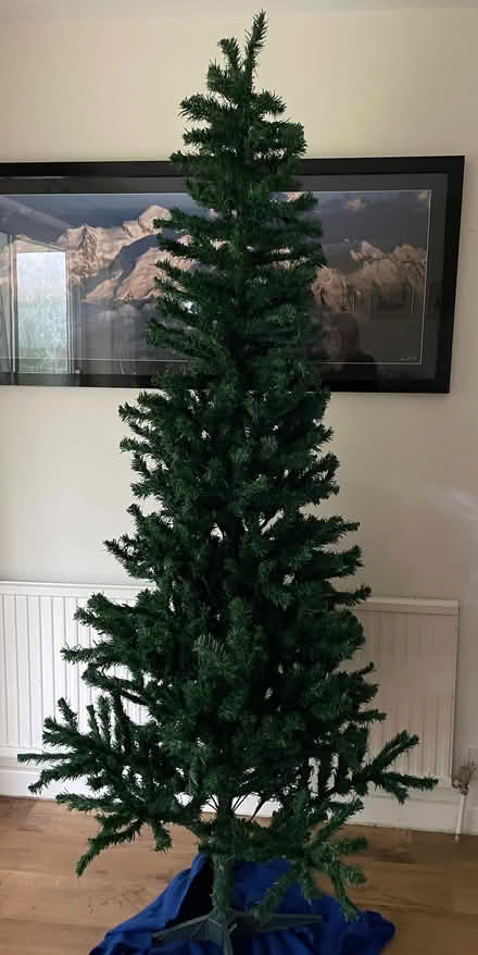Photo of free Christmas tree - 215cm/7 feet tall (Standlake OX29) #1