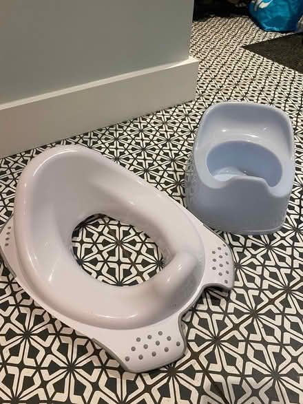 Photo of free Potty and loo insert (Corsham) #1