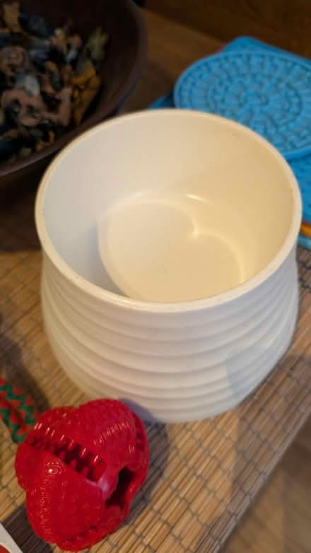 Photo of free Cat bowl (Cheshunt) #2