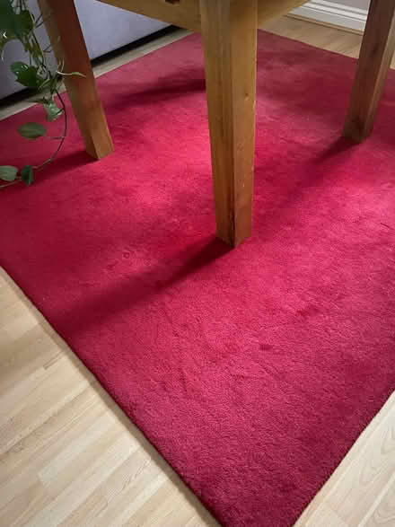 Photo of free Rug (Southborough TN4) #1