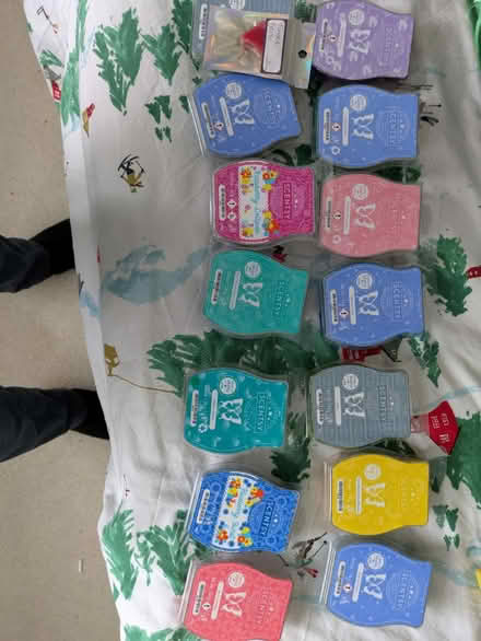 Photo of free Scentsy oil heaters and oils (ME10) #1
