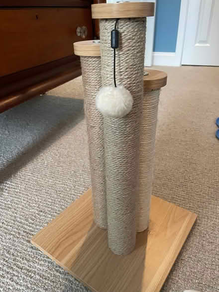 Photo of free Cat scratching post (H Street NE) #2