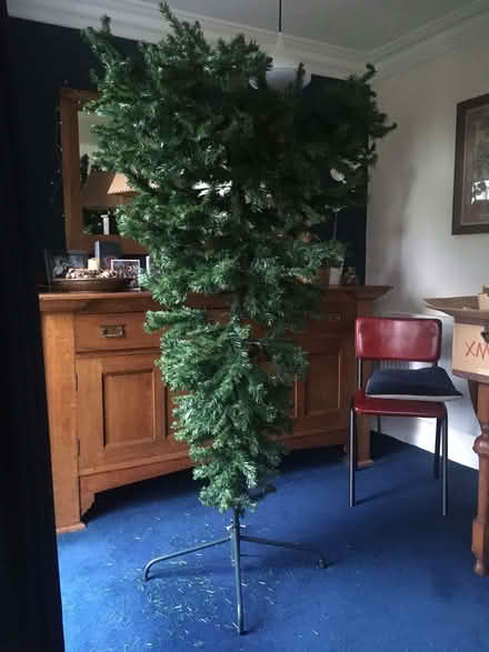 Photo of free Christmas Tree - Artificial, 6 feet tall (Spacey Houses HG3) #3