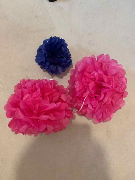 Photo of free Three tissue paper pom-poms party decor (Colwall Stone WR13) #1