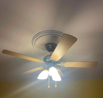 Photo of free Light fitting and fan (East Ham E6) #1