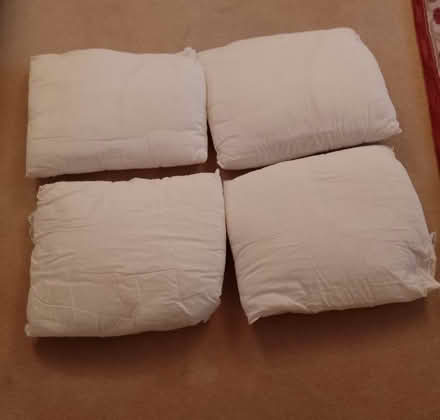 Photo of free Pillows (Saxmundham IP17) #1