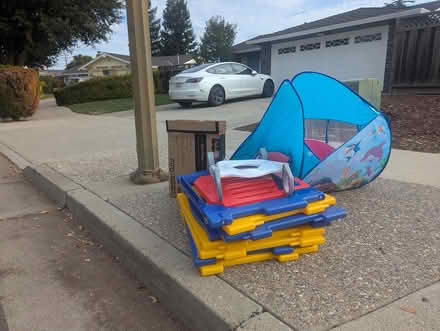 Photo of free Baby play pen, play mat, potty seat (South San Jose) #2