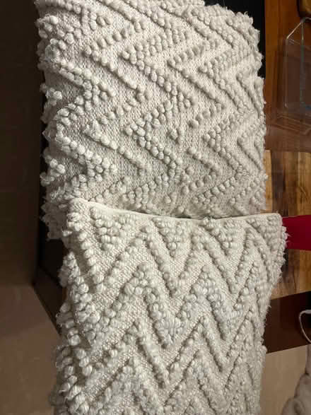 Photo of free 2 x large feather cushions (Cheltenham) #1