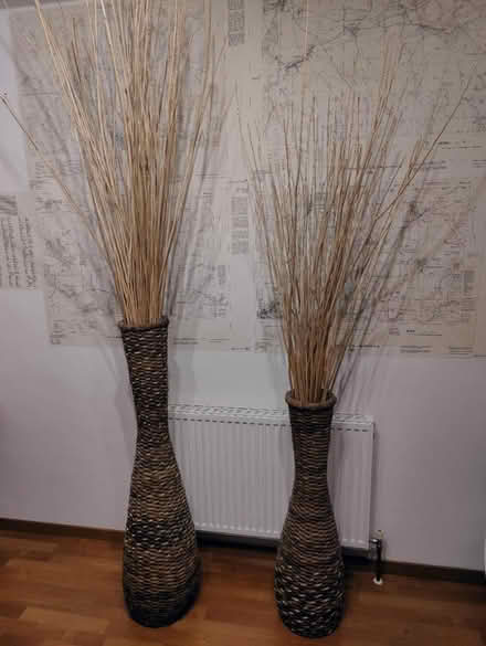 Photo of free Oversized vases with twigs (Basingstoke RG23) #1