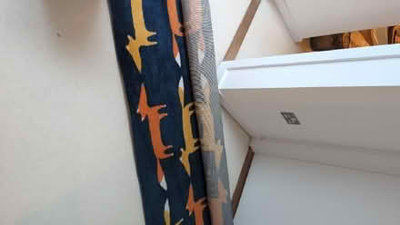 Photo of free Children's fox rug (Petersfield Ward CB1) #2