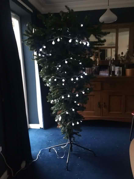 Photo of free Christmas Tree - Artificial, 6 feet tall (Spacey Houses HG3) #2