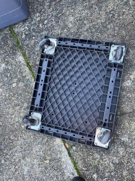 Photo of free Dolly (Castro Valley, Grove & Foothil) #3