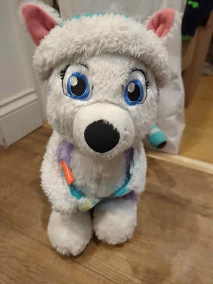 Photo of free Paw patrol soft toy (Longlevens, Gloucester) #2