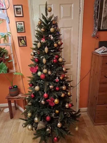 Photo of free Artificial Christmas Tree, 180 cm (Isleworth TW7) #1