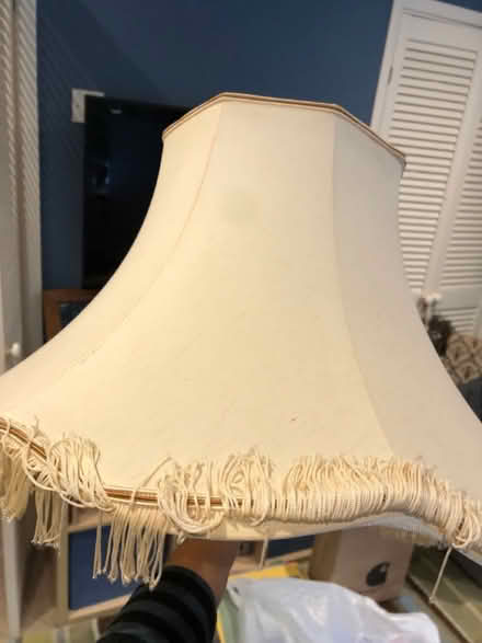 Photo of free Vintage lampshades (Knutsford) #2