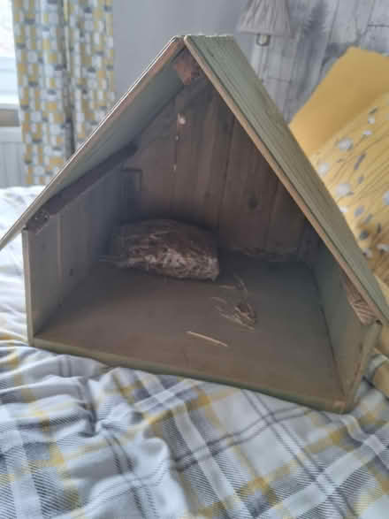 Photo of free nativity stable (Abingdon OX14) #1