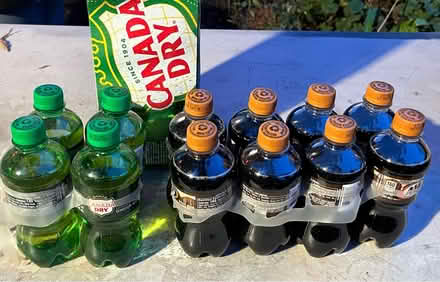 Photo of free Ginger Ale and Root Beer (Mountain View nr train station) #1