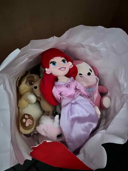 Photo of free Bag of soft toys (Oxford OX2) #1