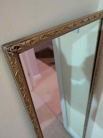 Photo of free Mirror (Hucclecote Meadows GL3) #2