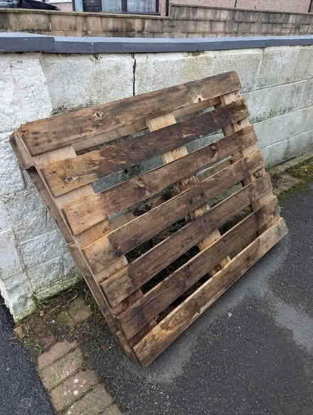 Photo of free Wooden Pallet (Ashton Vale BS3) #1
